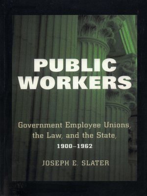 cover image of Public Workers
